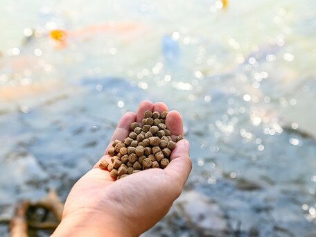 Activated Carbon Made from Rice Husks and Coconut Shells as Feed Supplement for Reducing Uptake of Metal/loids, PAHs and PCBs by Nile tilapia